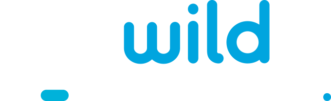 Wild tornado casino vs winspirit casino 